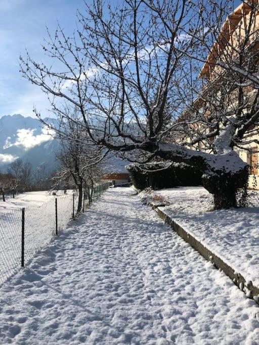 Appartement Rez De Jardin Montee De L'Alpe D'Huez La Garde  Dış mekan fotoğraf